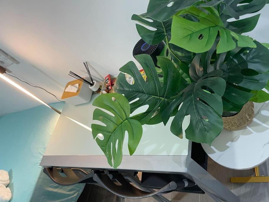 Apartamento Acogedor Estudio D Junto A Metro Madrid Exterior foto